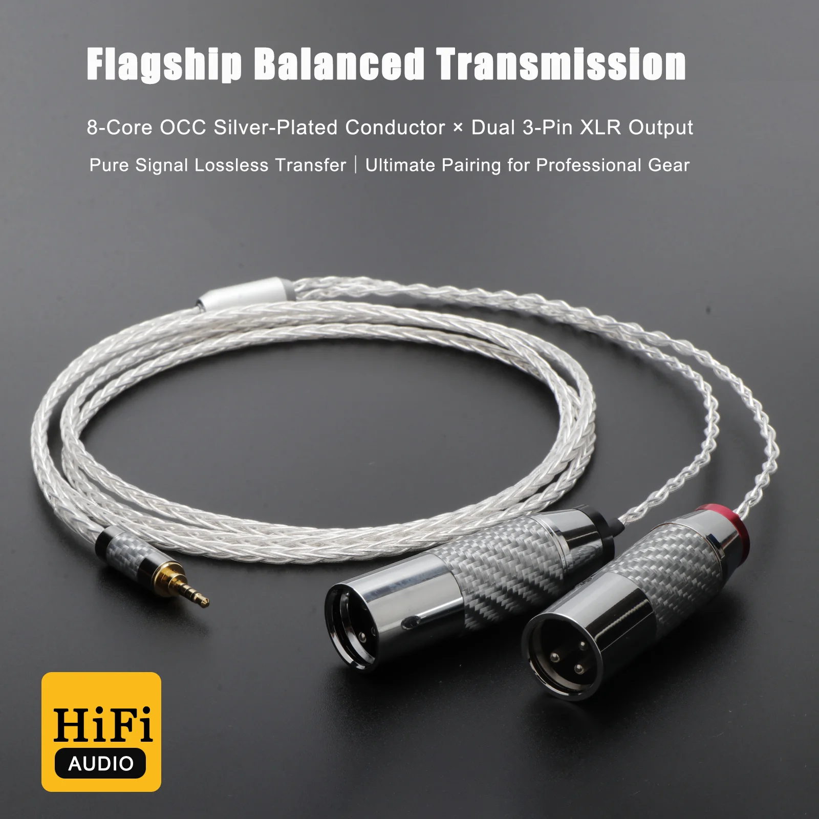 HiFi 2,5 mm auf Dual-XLR-Kabel OCC versilbertes Audio-Adapterkabel zum Anschluss eines ausgewogenen Player an einen ausgewogenen Verstärker – Detail 1