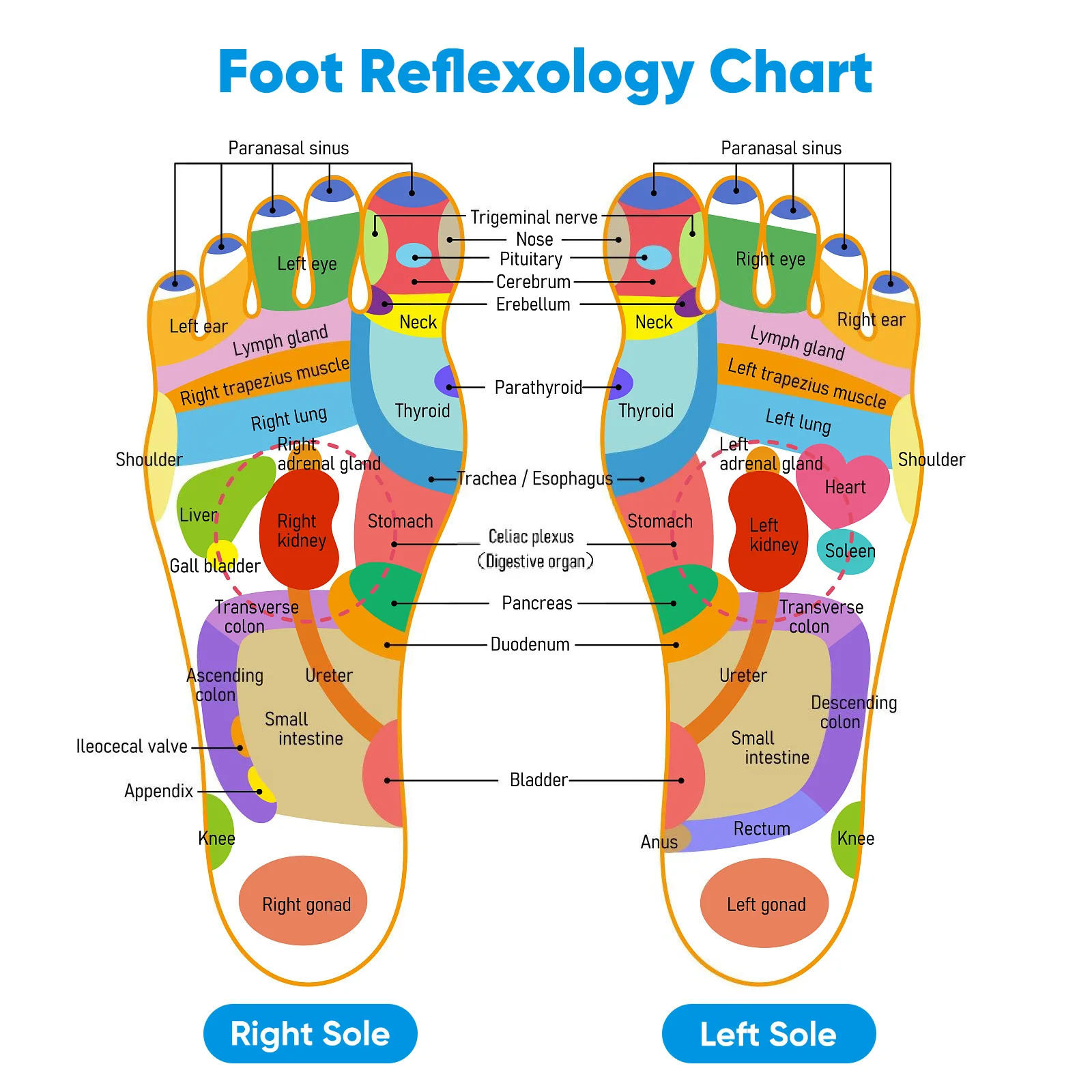 

Foot Massage Machine Electric Heated Foot Massager Multifunctional Uk Plug Relaxation Spa Massage Machine Feet Massager