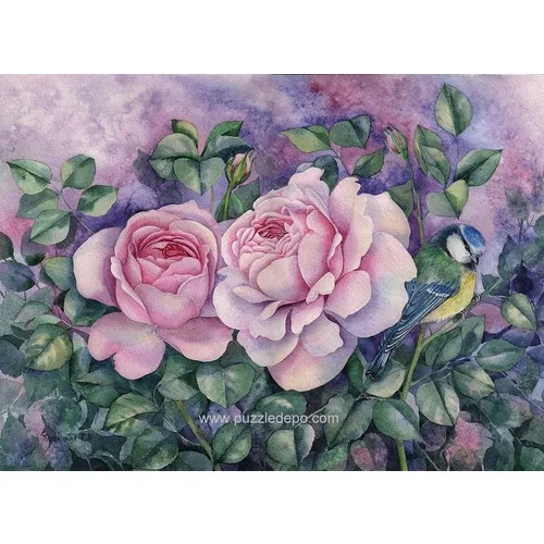 Nova Jigsaw Puzzle 1000 Piece Two Pink Rose Puzzle - Tatiana Plovetskaya