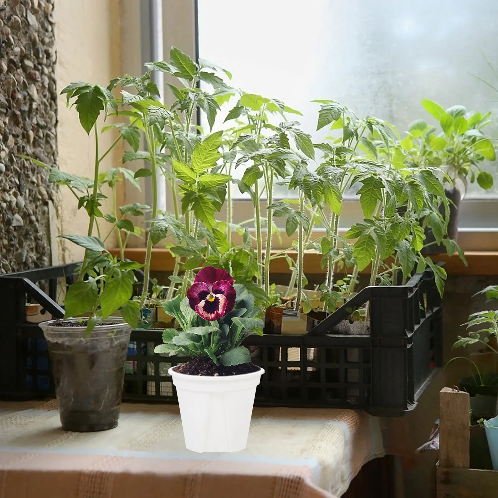 

Plant Plastic Flower Pot Small Planters for Outdoor Plants Control Flowerpot Pots Indoor