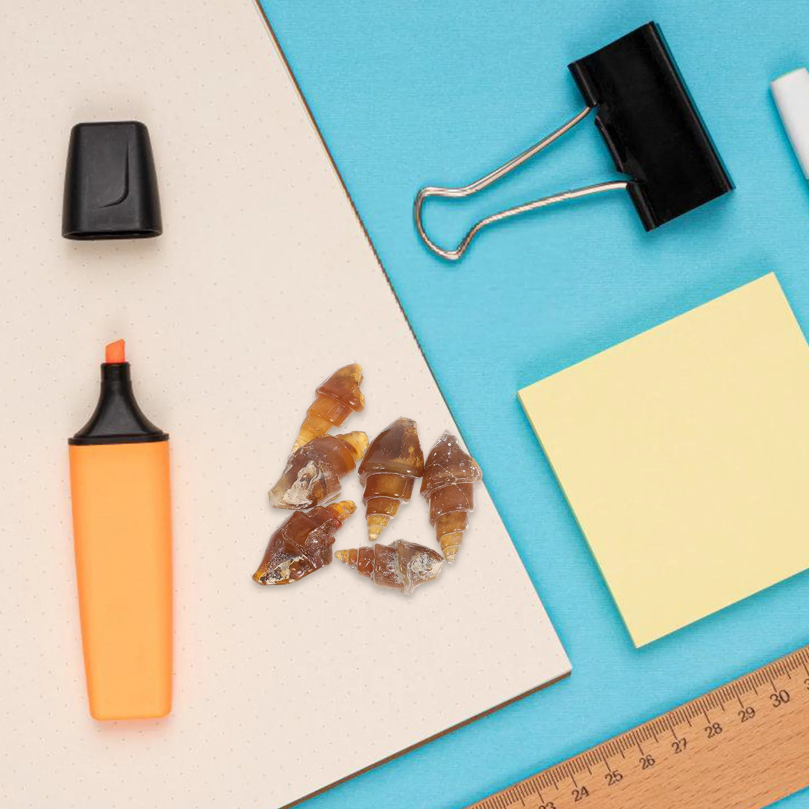 6 ชิ้น Agate หินหอยทากการสอนทางธรณีวิทยาตัวอย่างอุปกรณ์ Rock Minerals ชุดสําหรับบรรพชีวินวิทยารุ่น Conch ตัวอย่าง