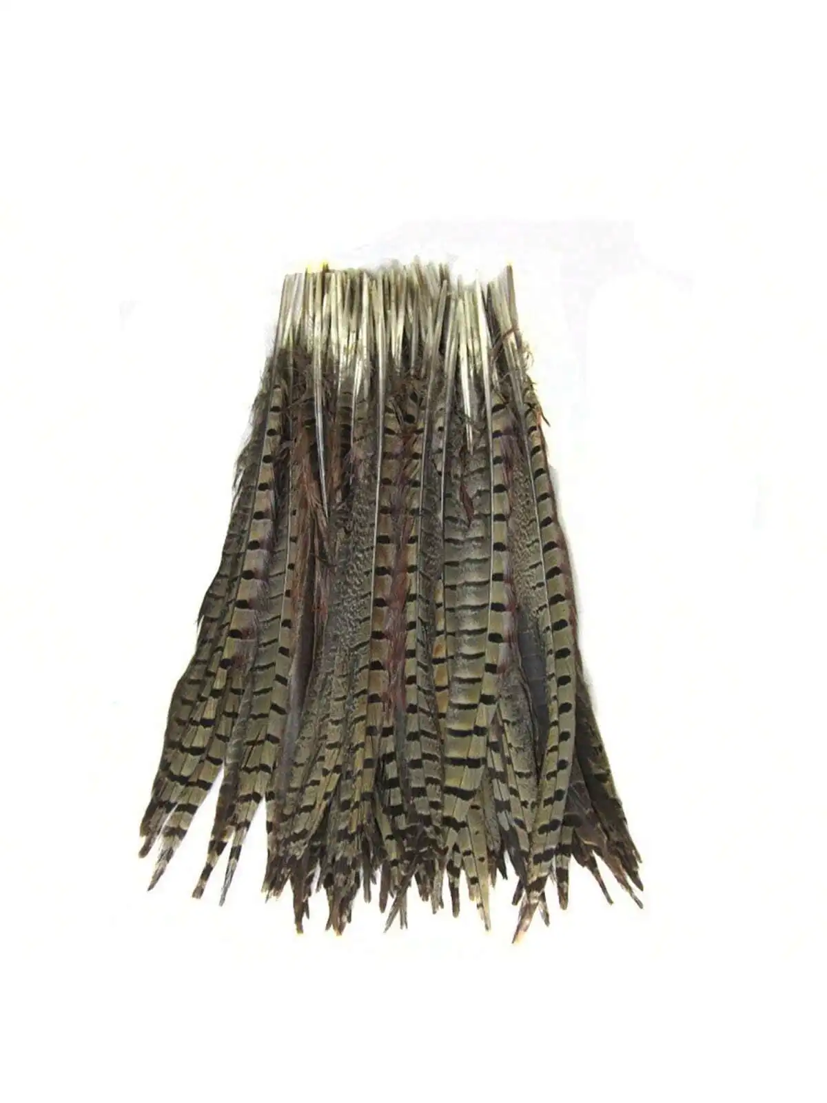 Set of 5pcs Natural Dyed Pheasant Tails Feathers 12-14 Inch DIY Decoration (Natural)