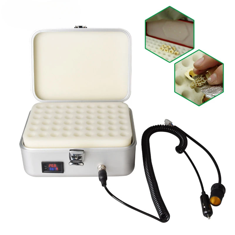 Automatic Electric Incubator for Queen Bee Rearing, High Precision Bee Hatcher for Beekeeping and Apiculture