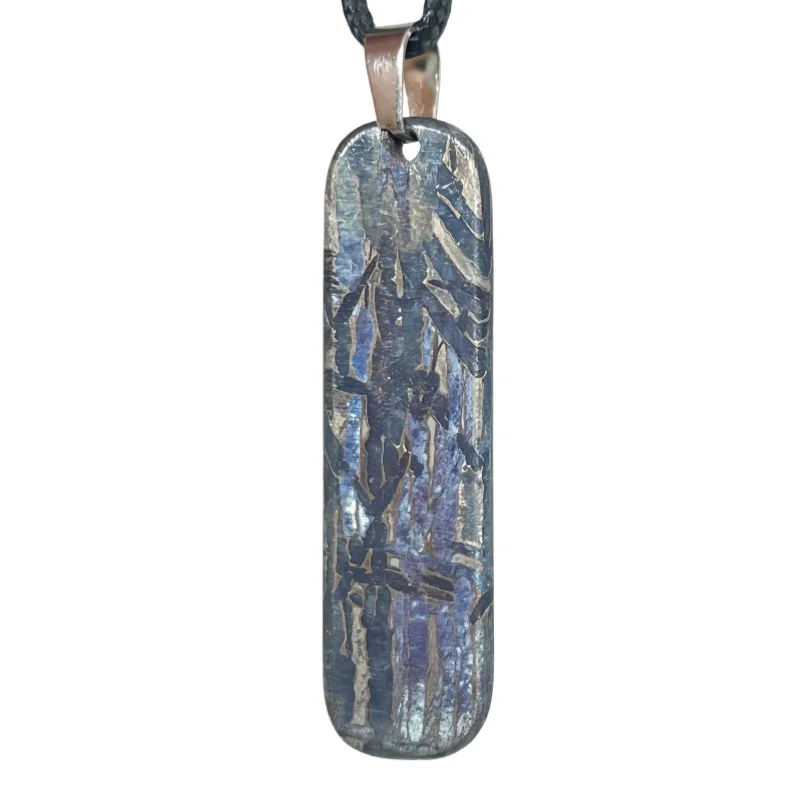 14.7g Muonionalusta meteorite pendant Natural iron meteorite pendant Meteorite slice Collection -LK259