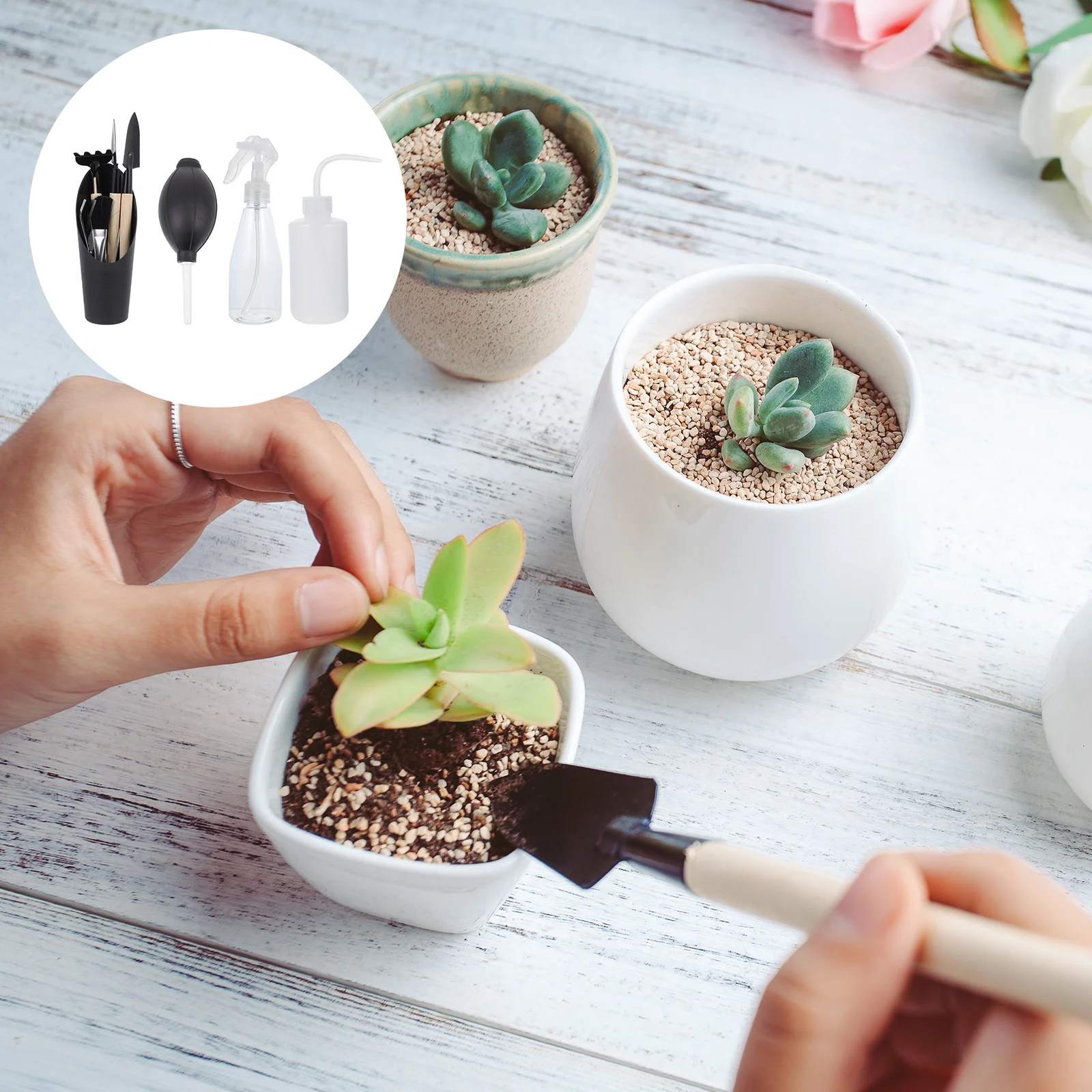 

1 set 1 Set Garden Tools Kit Mini Shovel For Planting Transplanting Succulent Bonsai Potting Dibber Sprayer Watering Pot Yard