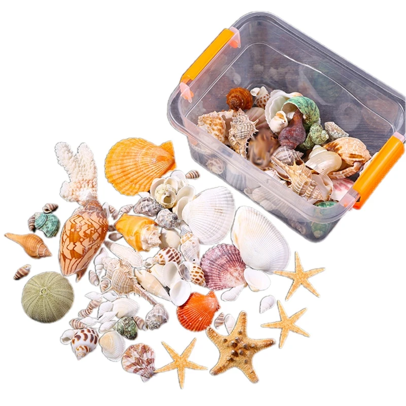 Aquarium Beach Seashells Decoration Random Sea Snail Coral Ornament