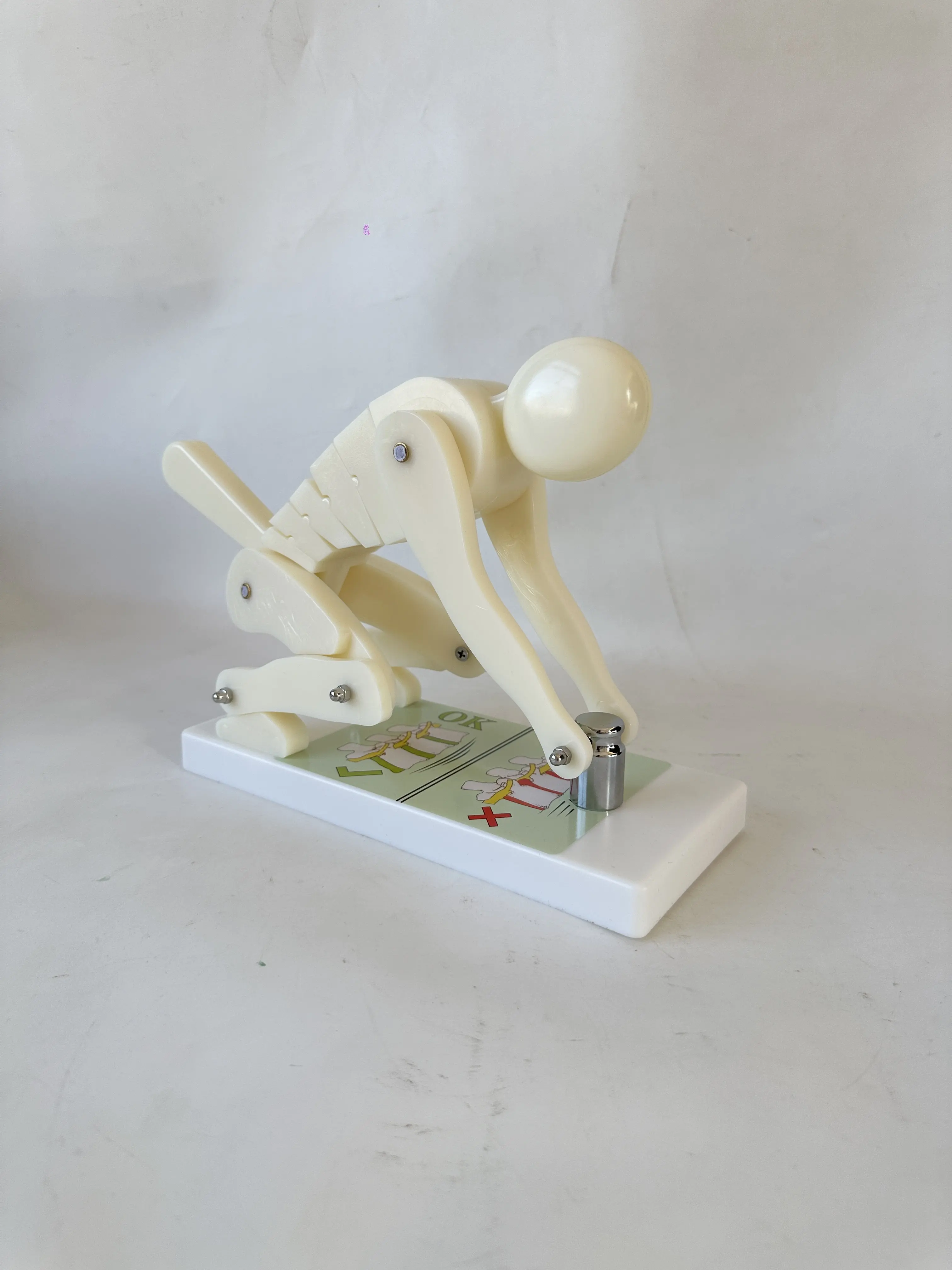 Spine Lumbar Force Demonstration Model for Weightlifting, Lifting Posture Safety Trainer for Health Education
