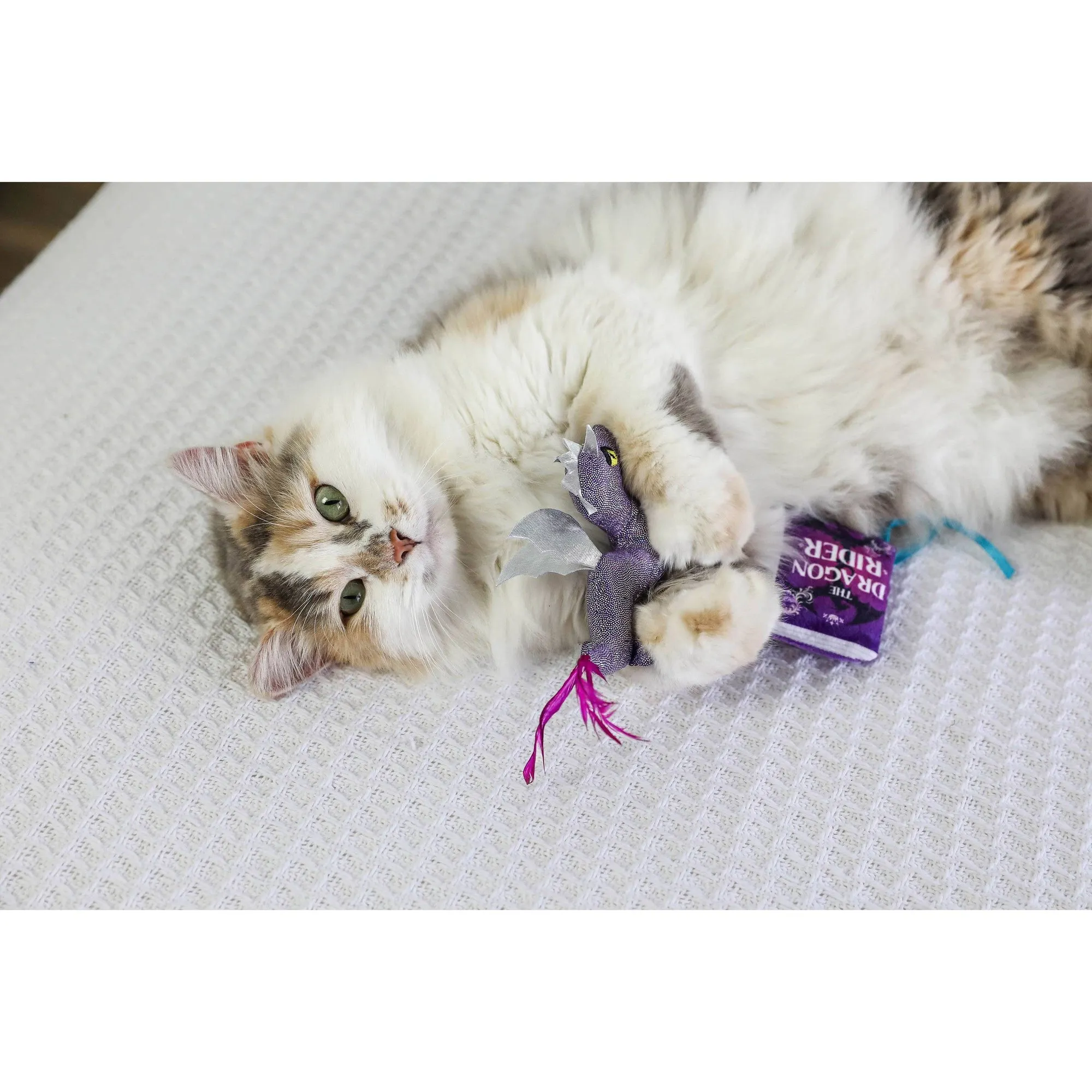 Quirky Fairy Tail Romance Plus - огляд і ціна Kids Quirky Toys