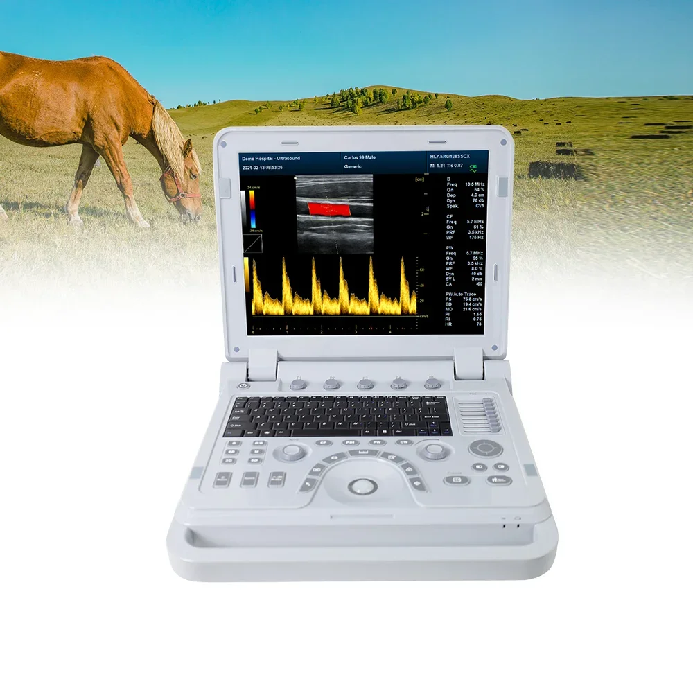 Contec CMS1700B-VET Veterinaire 4d Echografie Machine Kleur Doppler Dierenarts Usb Echografie Sonde