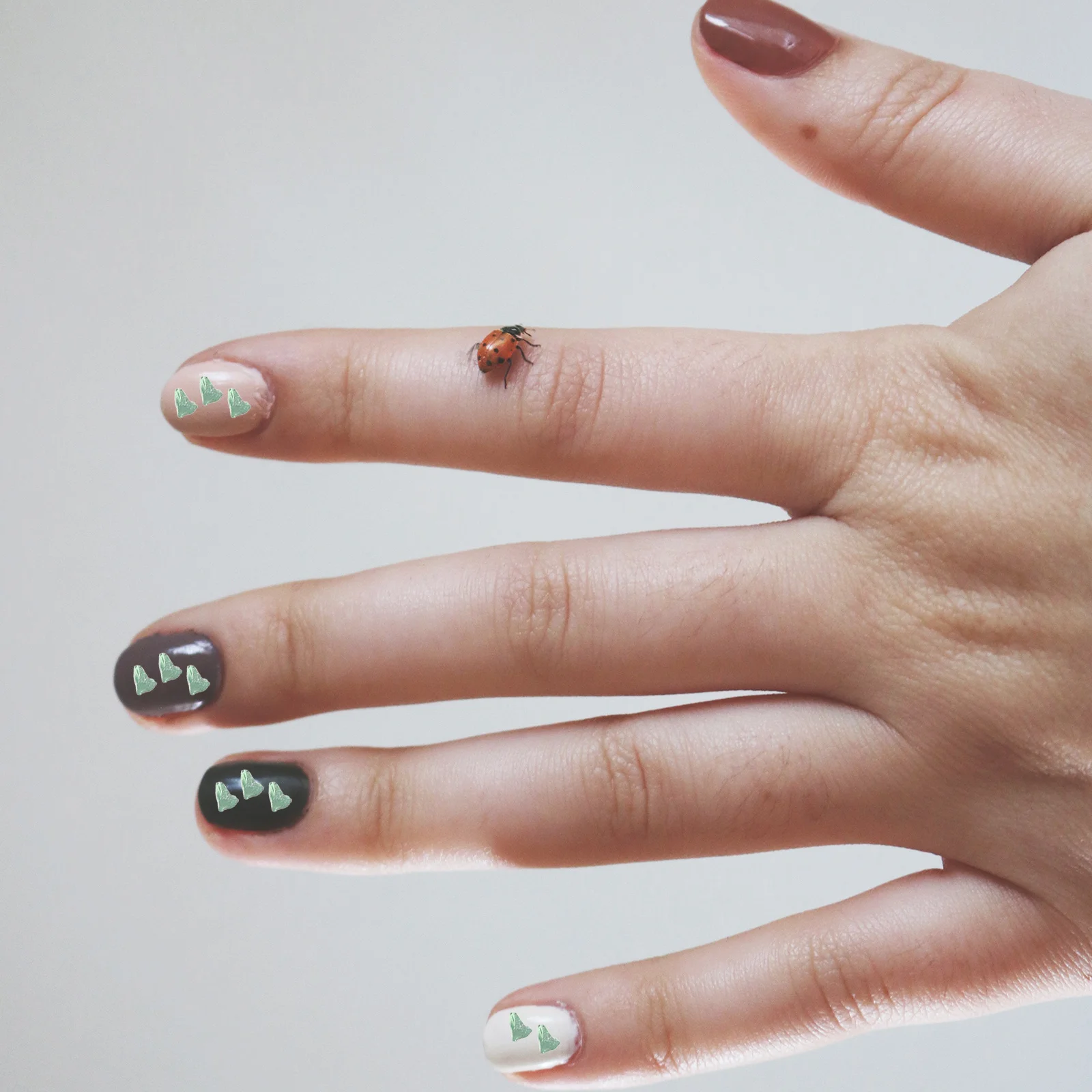 

1 Bag Of Nail Crushed Glass Manicure Diy Irregular Fillers For Epoxy Resin Jewelry Making Phone Decor Scrapbooking Crafts Glass