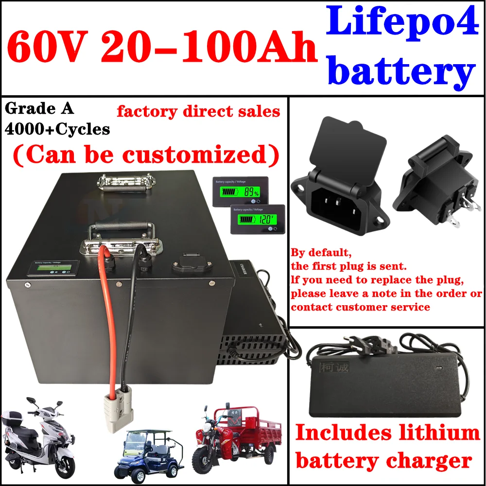 

60V 60ah 50ah 80ah 100ah 20ah 30ah 40ah 70ah Lithium Lifepo4 battery for Two-wheeler Three-wheeler