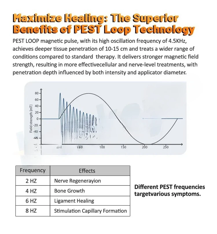 Terapi Fisik Kuda Magnet Terapi Kuda Bantalan Terapi Kuda