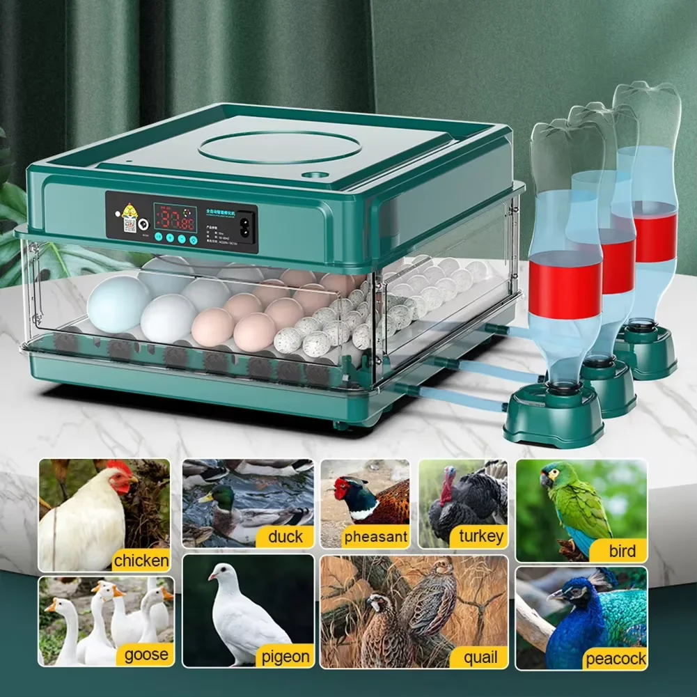 12 Chicken Egg Farm Bird Quail Geese Poultry Egg Incubator Fully Automatic Turning Hatching Brooder Farm Hatcher Incubation Tool