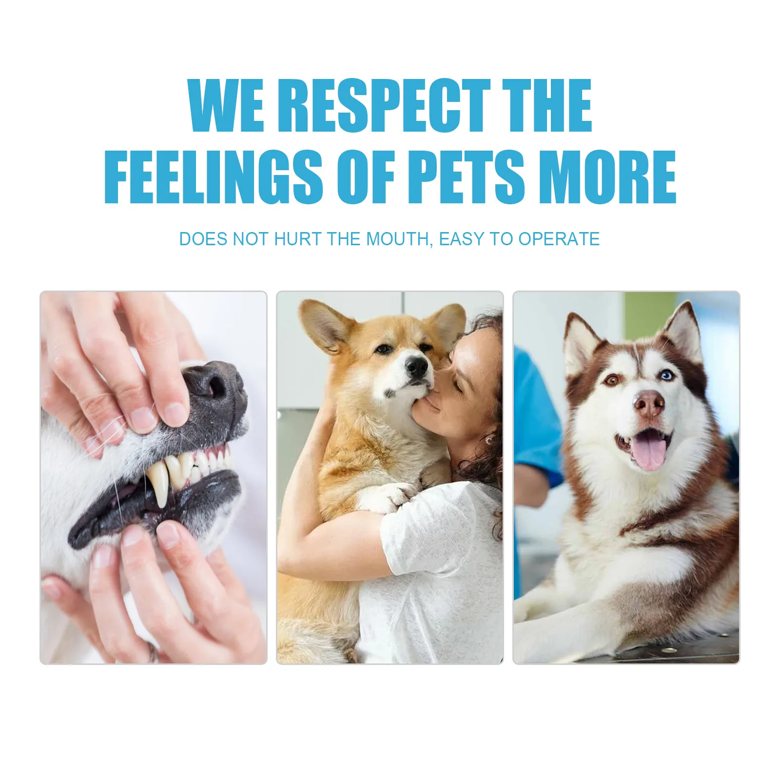 60g Pet Dental Care Toothpaste Refreshing Cleaning Teeth Stains Non-irritating Improve Oral Hygiene Maintain Gum Pet Toothpaste