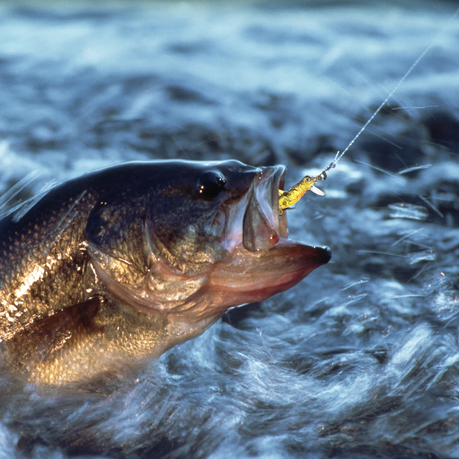 

5Pcs 3.3cm 3G Vivid Grasshopper Lures High Metal Hooks Bright Color Floating Fishing Tackle Fishing Lures Freshwater Baits