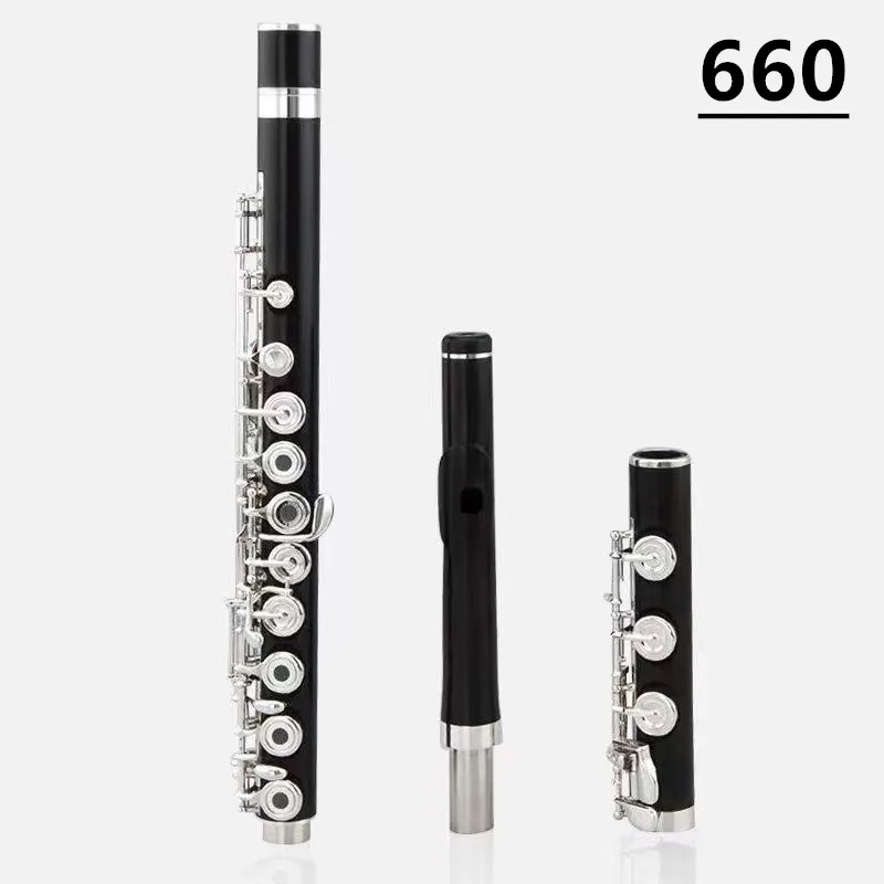 17-HoleEbony Professional Flute Open-Hole 660 Model Silver-Kept E-Key Separated with Instrument Carry Case Long Flute