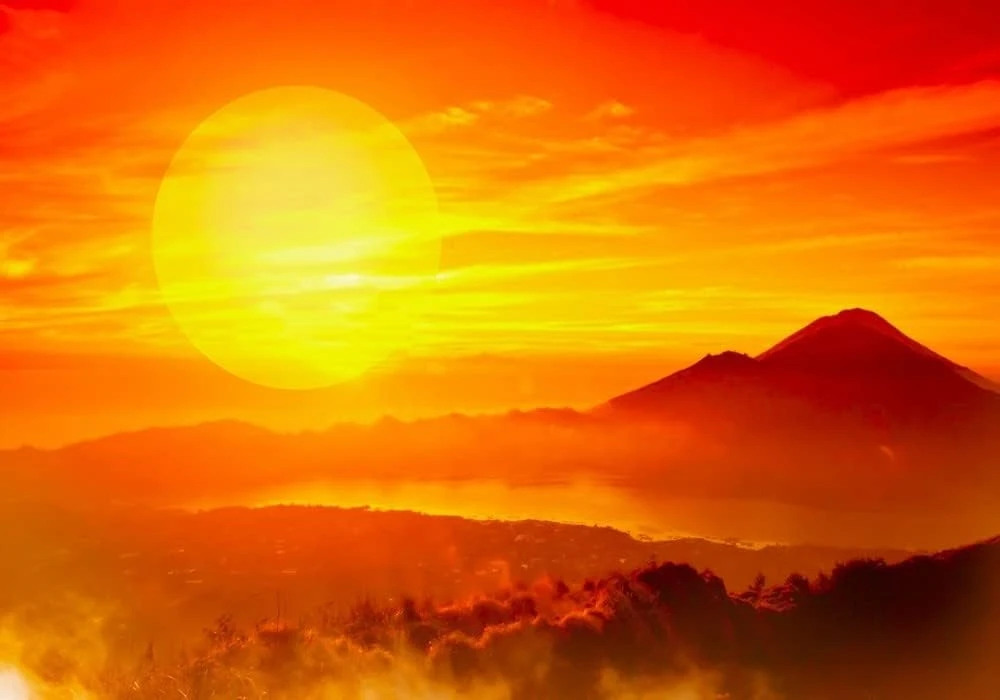 الصيد البري الأفريقي سفاري الأسد شجرة الجبل غروب الشمس الحيوان الملك الخلفيات الأطفال أطفال التصوير خلفيات الاستوديو