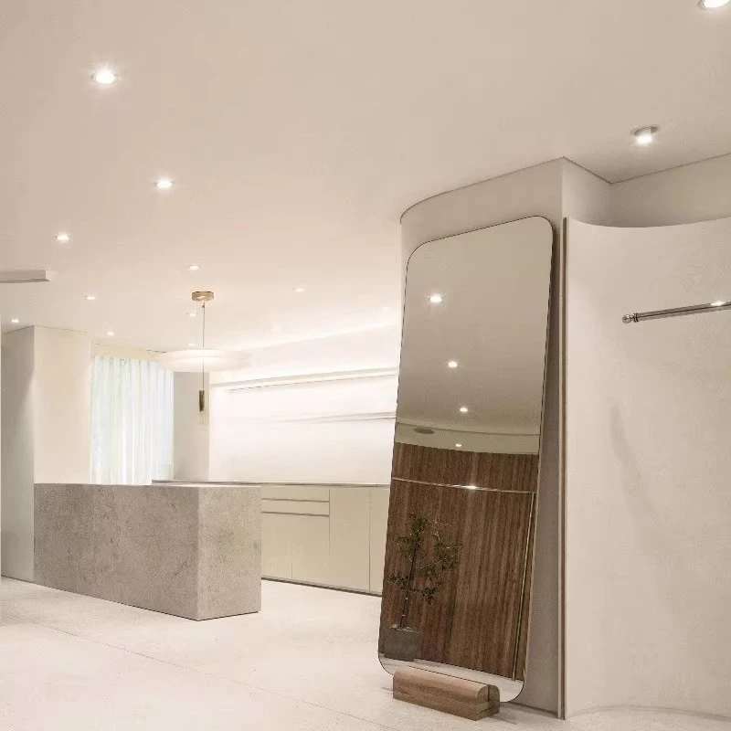 

Floor Dressing Big Mirror Living Room Design Girls Aesthetic High End Mirror Light Luxury European Spiegel Wand Home Products