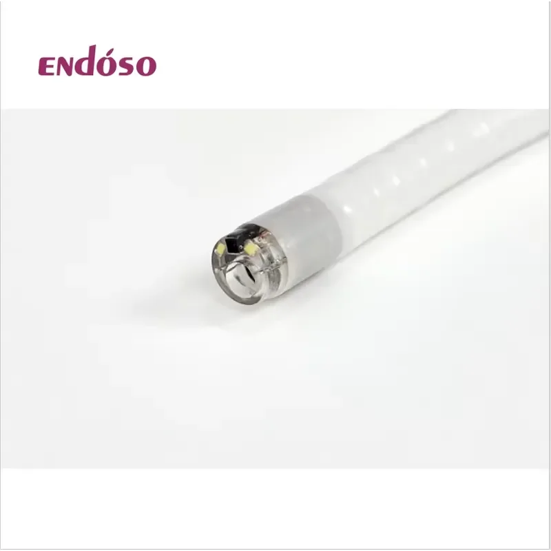 2026 New, High Quality, Customizable Flexible Disposable Endoscopic Bronchoscope and Laryngoscope for Ear Nose Throat ENT