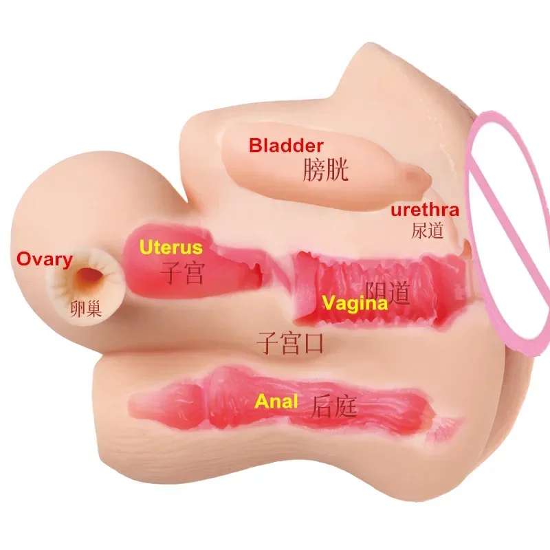 Anime Uterus Masturbation For Man Male Masturbator Realistic Vagina Silicone Pocket Pussy Sex Toys For Men Adult Sex Tool