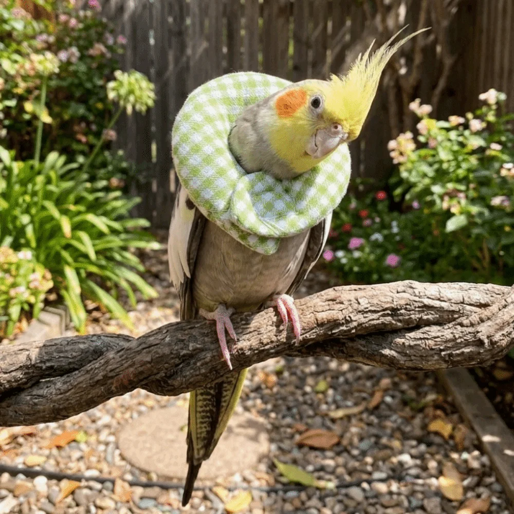 Grid Pattern Bird Elizabethan Collar Soft Breathable Parrot Protective Collar Anti-Bite Comfortable Fit Anti Licking Collar