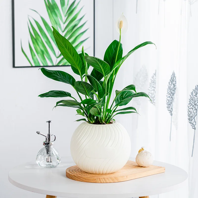 Double-layer Self Watering Plant Pot Transparent Plastic Flower Vase Automatic Lazy Potted Flower Pot