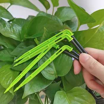 10 best sales Arrosage des bonsaïs - №7