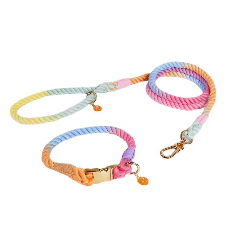 New Designer Ins Style Gradient Dog Collar Leash Set With Metal Buckle Quick Release Cotton Collars Pet Outdoor Walking Training