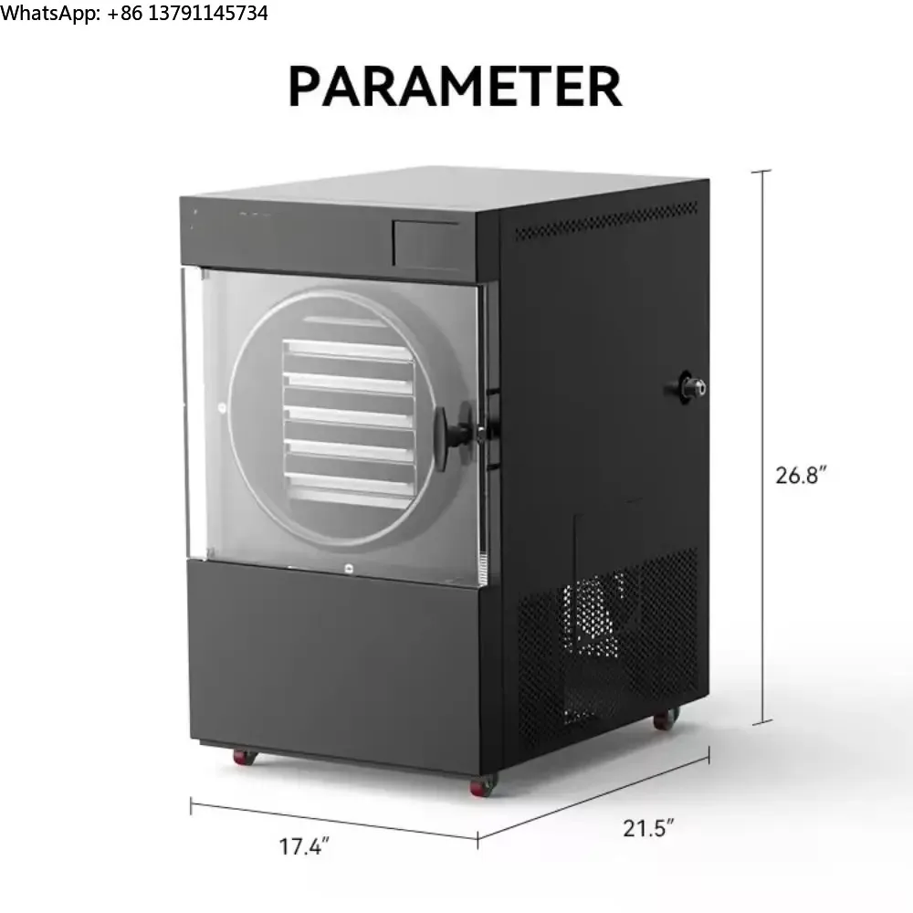 Mini Lyophilizer Small Food Freeze Dryer with Commercial Industrial Vacuum Pump for Food Preservation