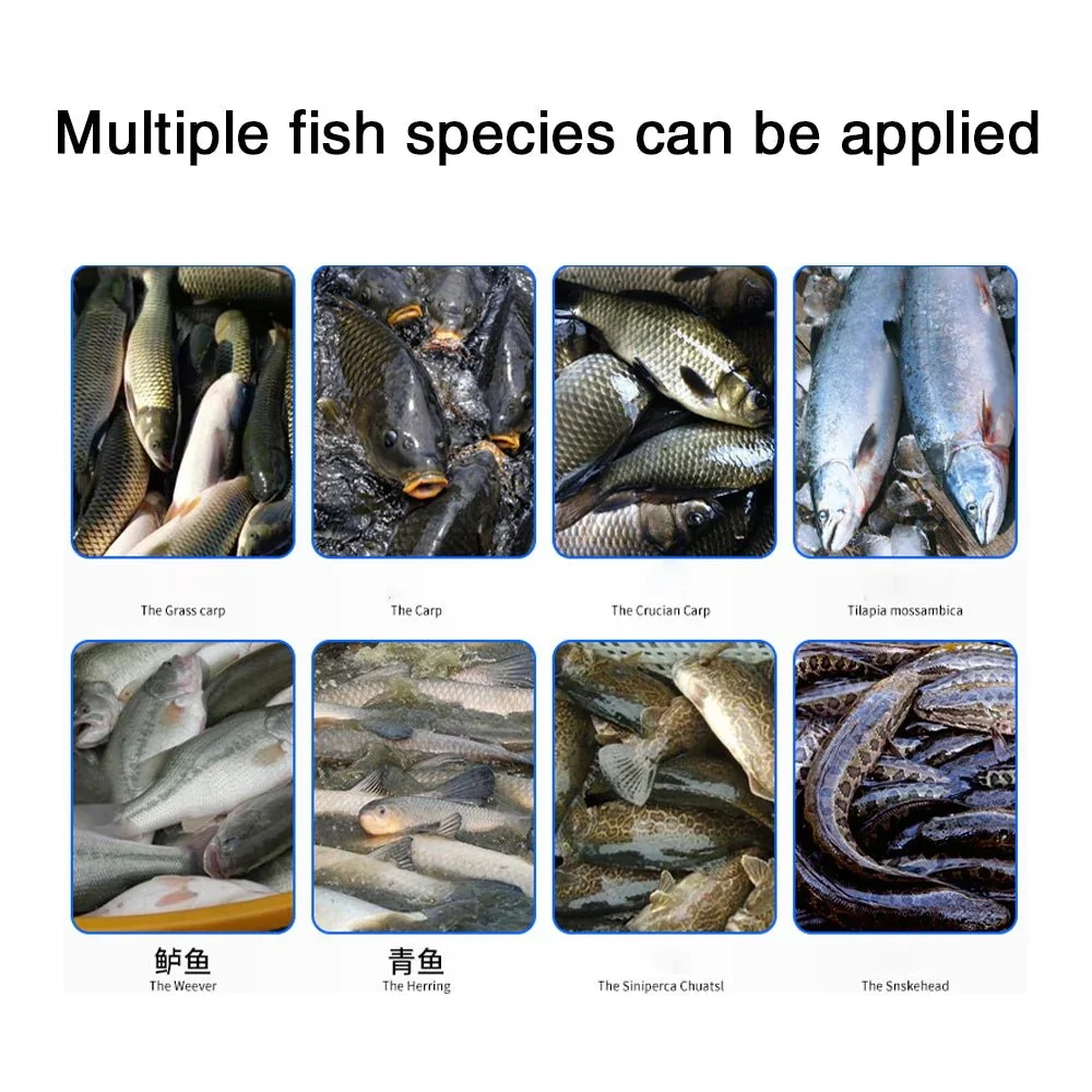 آلات قتل معالجة الأسماك من الفولاذ المقاوم للصدأ عالية الكفاءة أوتوماتيكية بالكامل مع بطن مفتوح وظهر #4