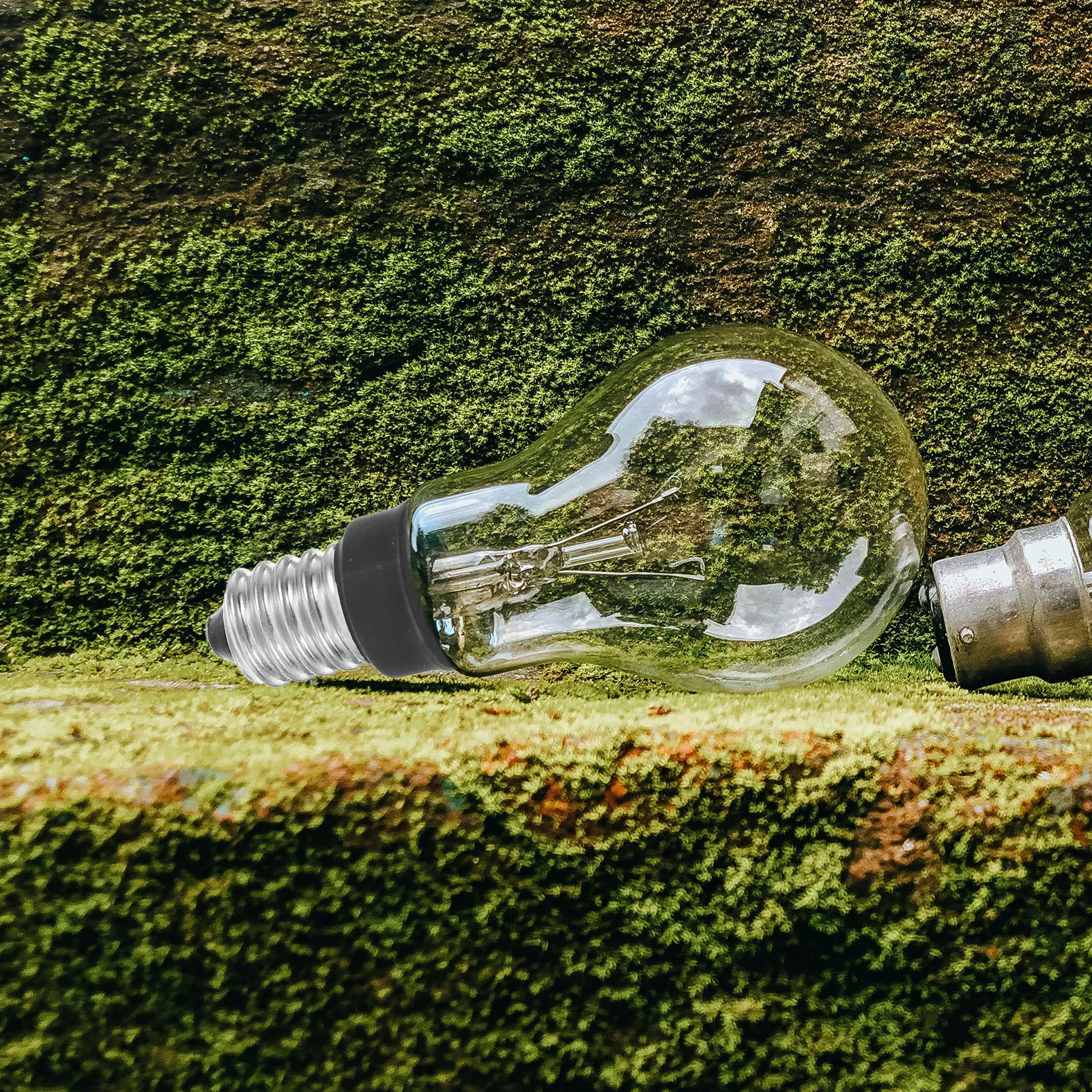 6Pcs Lamp Base Conv…