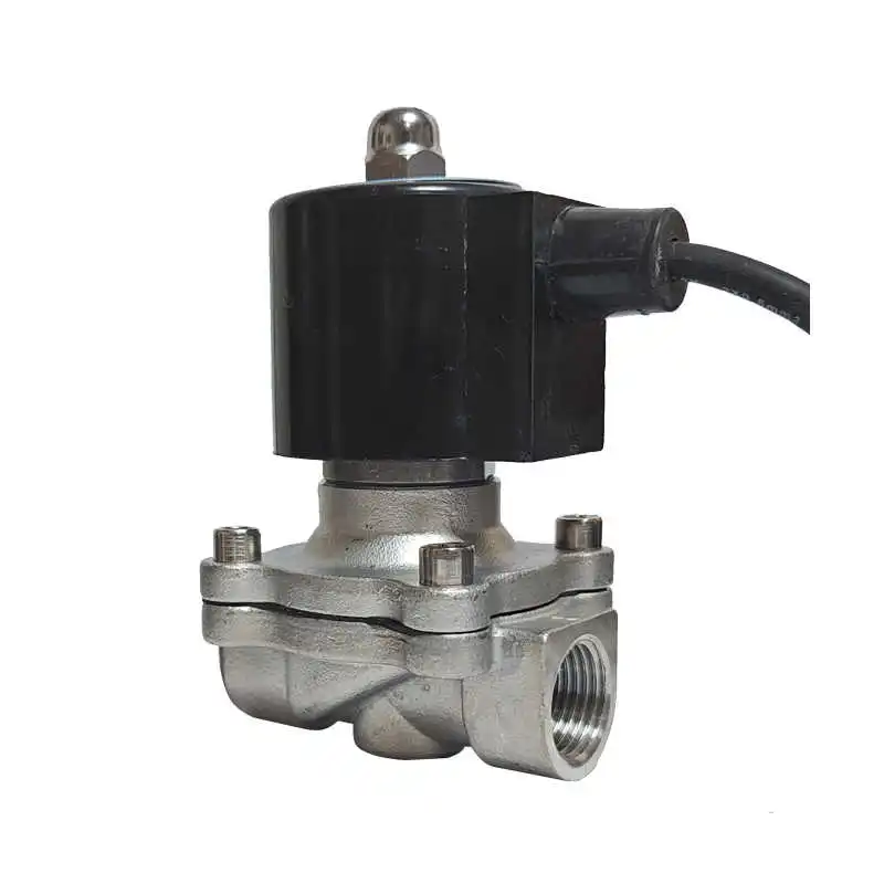 

1PCS Underwater Fountain Running Spring Waterproof Normally Closed Solenoid Valve 220v 4 Minutes 6 Minutes 1 Inch Buried DC24v