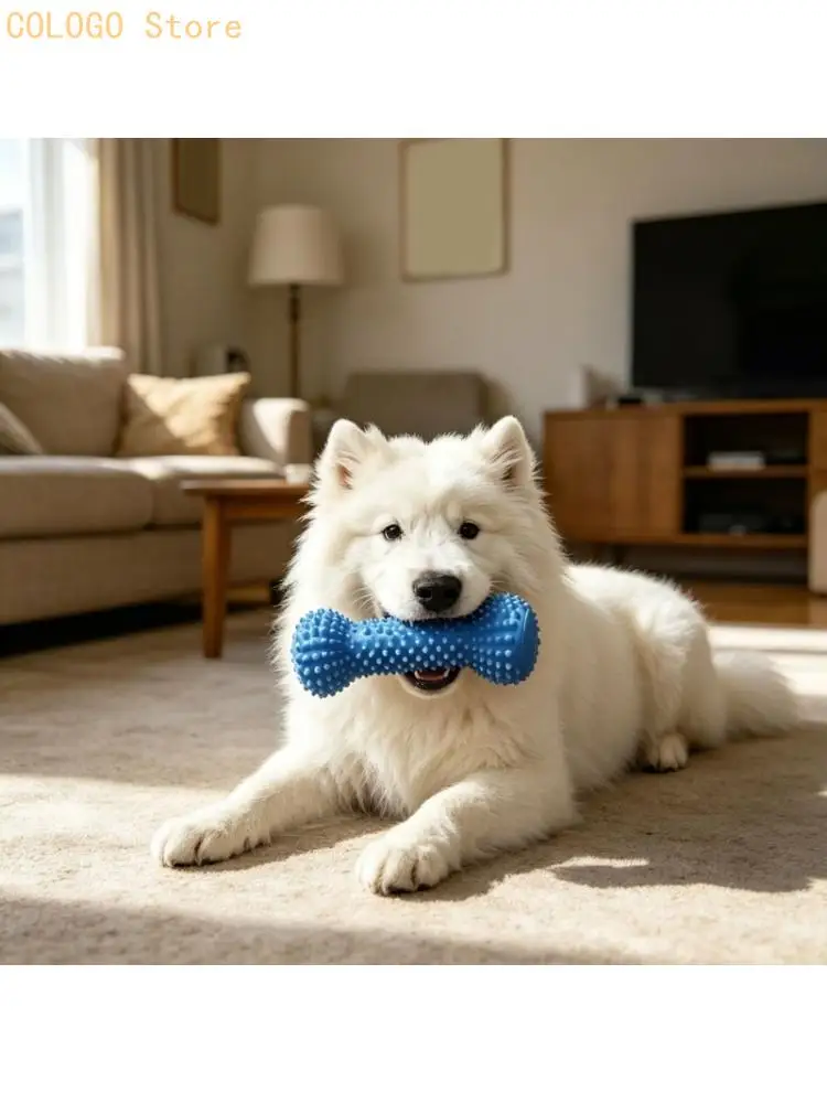 Daily Use Dog Chew Toy Set, 2 Pack with Raised Texture Item Home D0LD