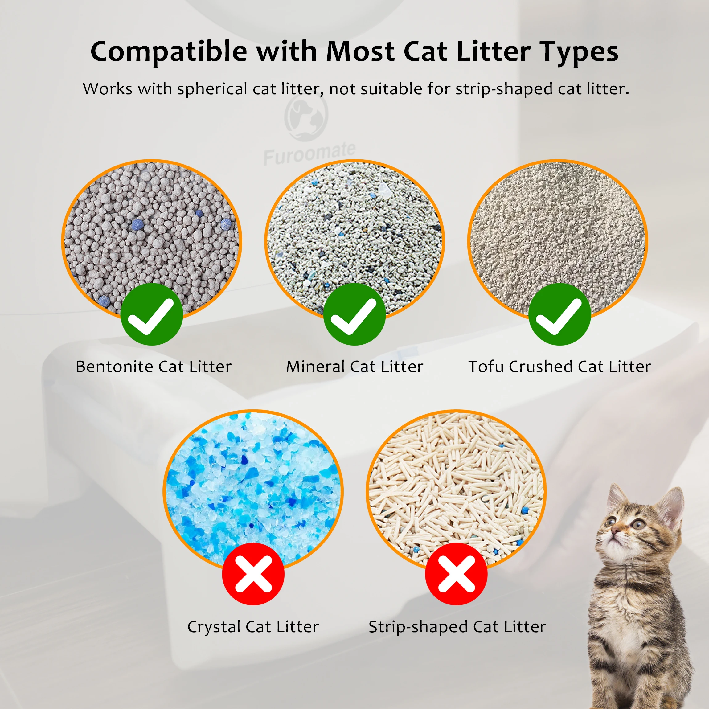 Large Cat Litter Box
