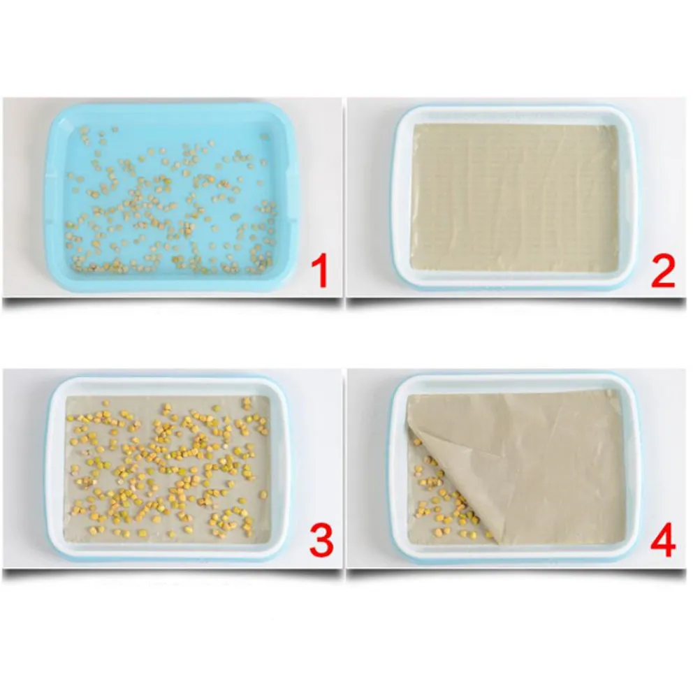 

Premium Soil-Free Sprouter Tray Set Bpa Free PP Material for Wheatgrass Alfalfa Broccoli Sprouting Storage Tray for Fruits