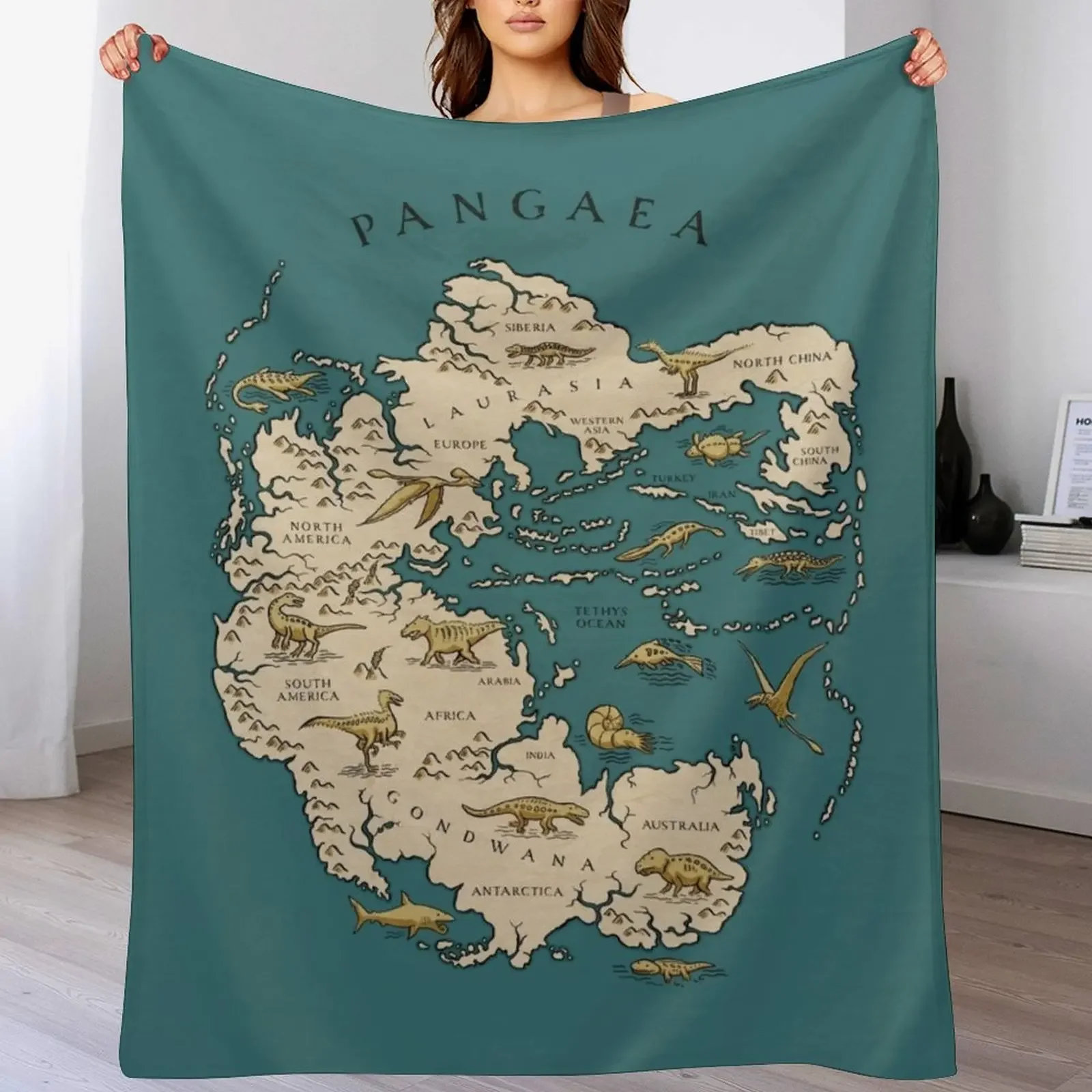 

map of the supercontinent Pangaea Throw Blanket for babies Decorative Beds Luxury Designer Giant Sofa Blankets