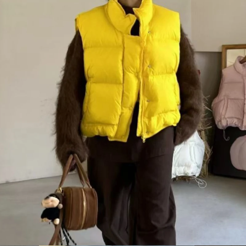 

Candy-colored Down and Cotton Women's Jacket with A Stand-up Collar, Thick and Loose Short Style 2025 New Design