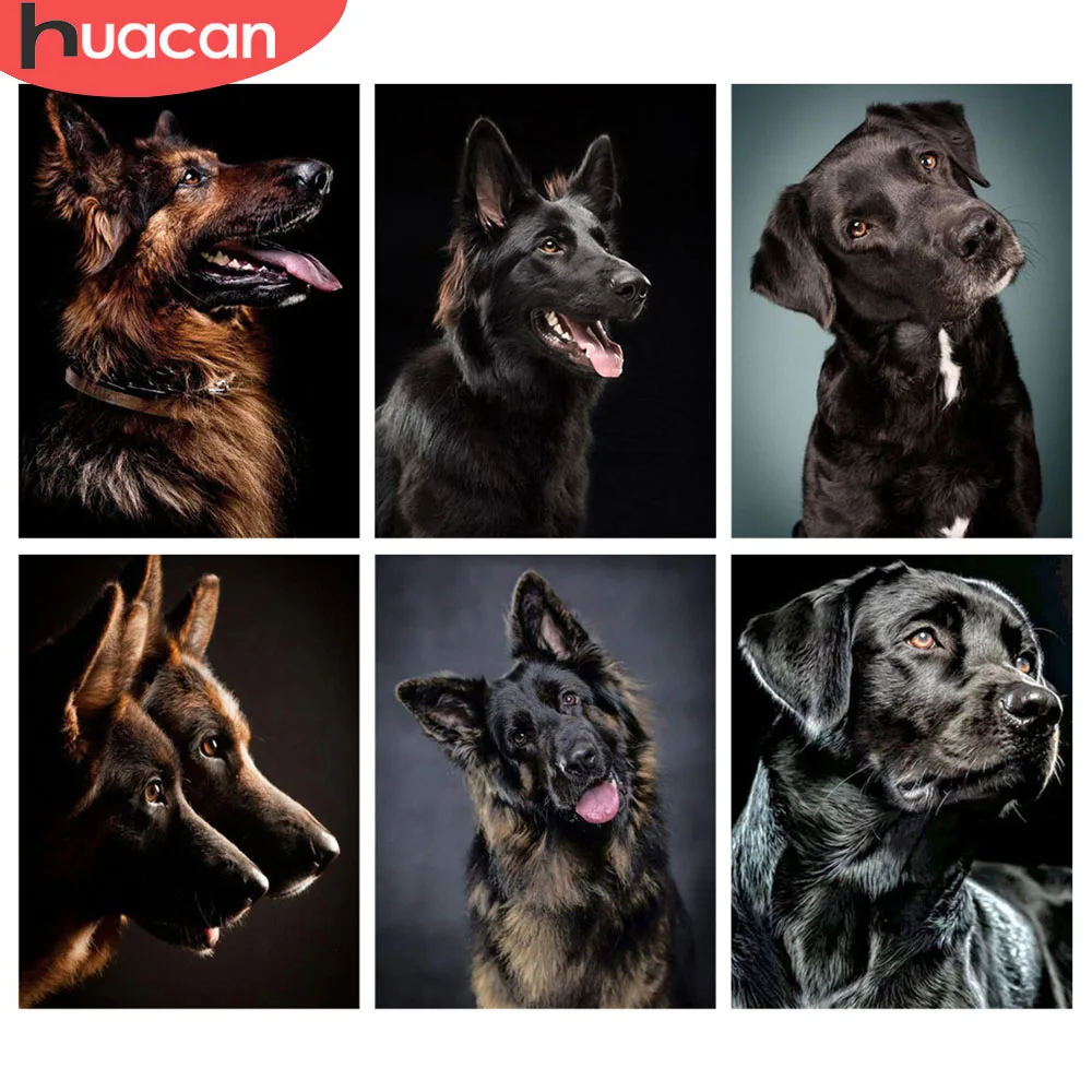 HUACAN Diamant Malerei Hund Schwarz Tier Strass Bilder Diamant Mosaik 5d Kreuz Stich Voll Platz Runde Wohnkultur
