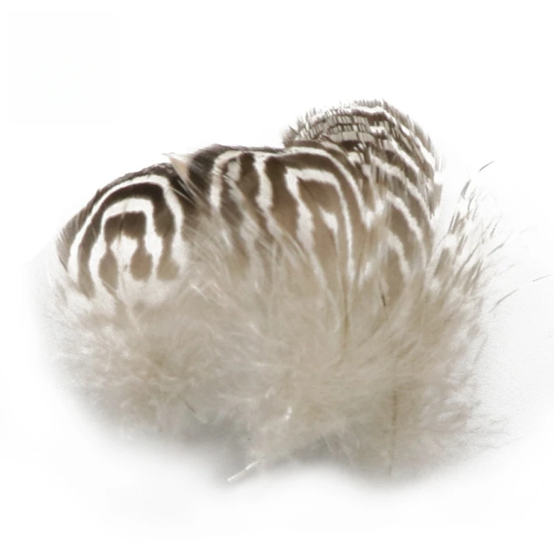 

Wholesale Duck Feather 2-4cm Small Pattern Curly Feathers DIY Craft Materials Clothing Accessories Factory Direct