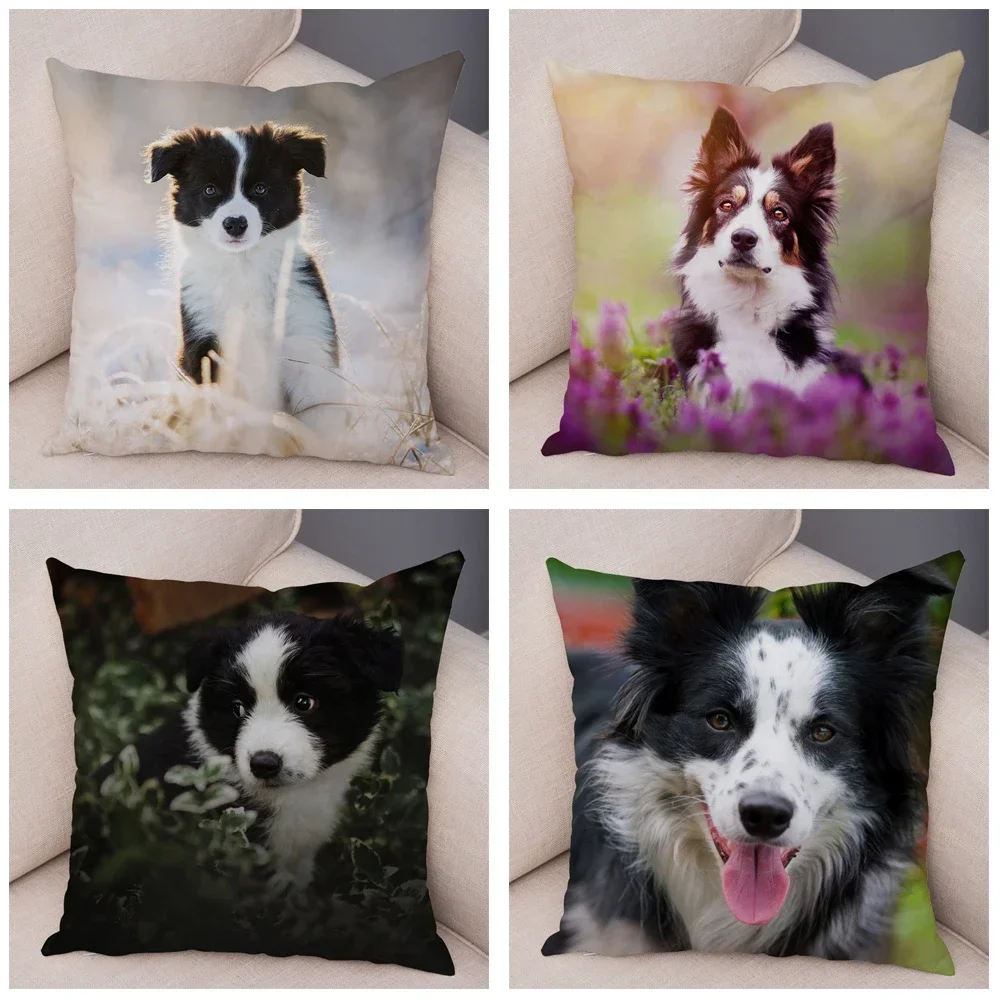 Cute Pet Animal Cushion Cover Scottish Border Collie Pillowcase Dog Printed  Sofa Stroller Customizable