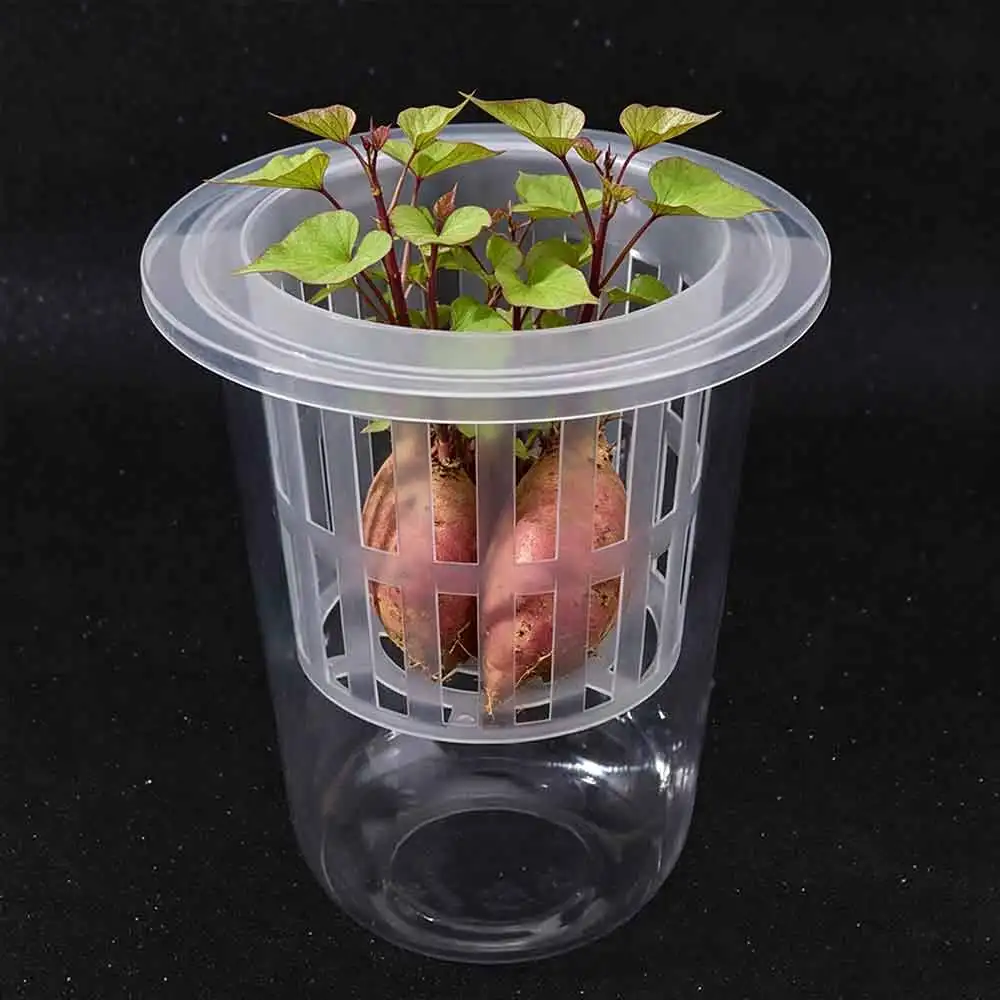 Transparent Plastic Hydroponic Mesh Cups Plant Propagation Root View Cups Plant Nursery Pot Planting Container Vegetable Nursery