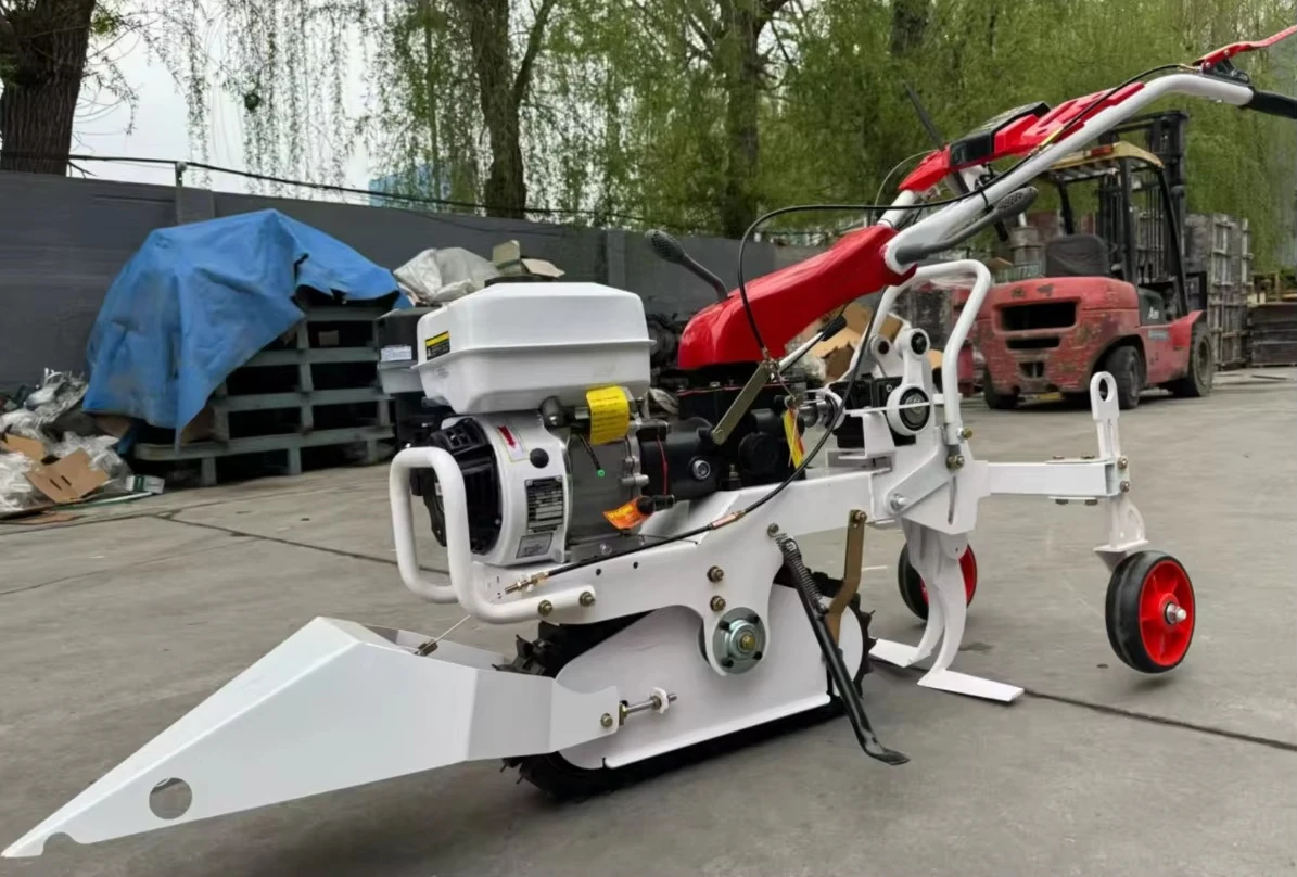 6HP Fuel Garlic Harvester Machine Walk Behind Garlic Picker Digger for Farm Low Damage Root Vegetable Harvester