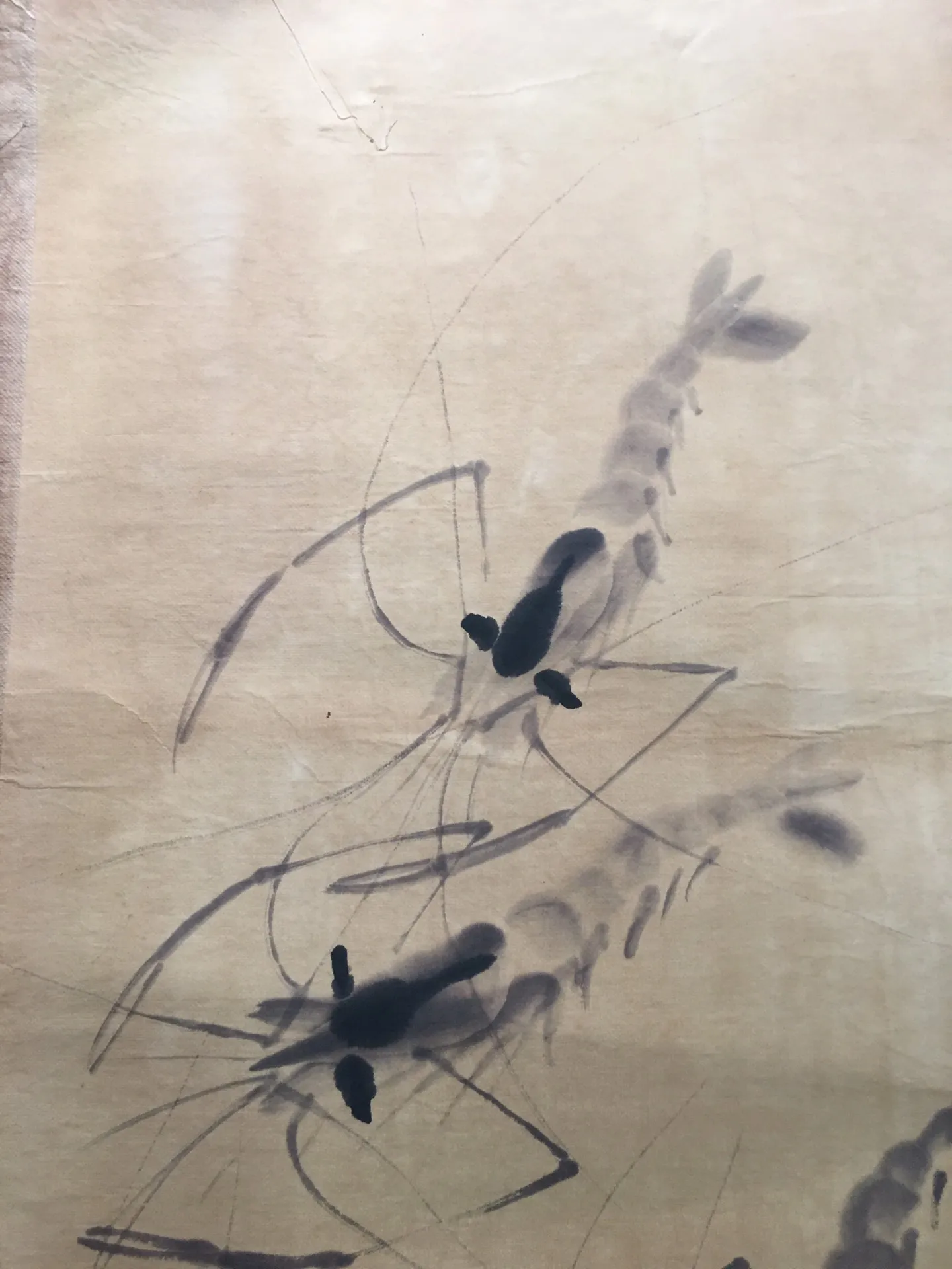 Hand Painted Old Chinese Calligraphy Scroll 'Qi Baishi Shrimp' Slice - Traditional Artwork for Decor