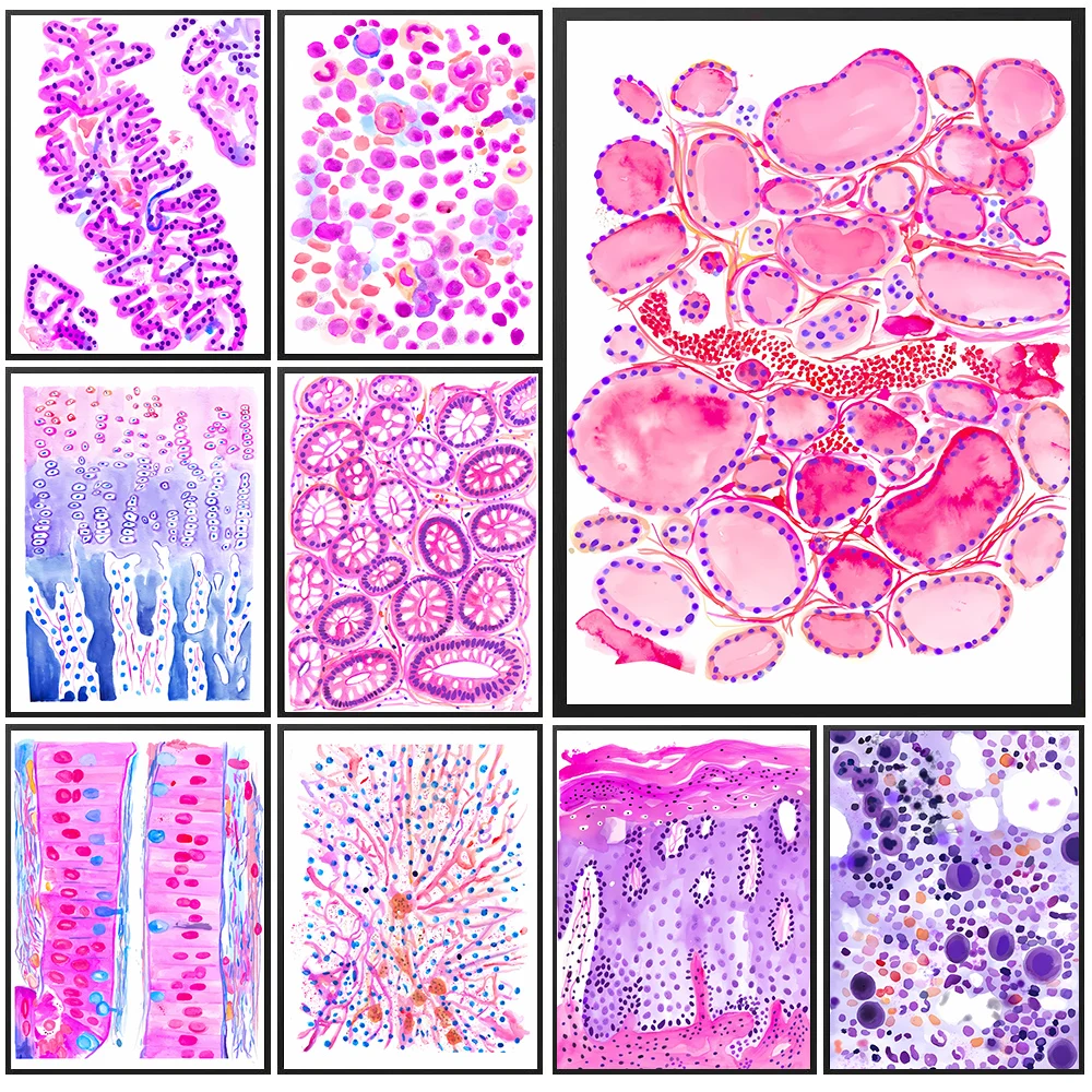 

Human Tissue Microscope Wall Art,Anatomical Histology Watercolor Canvas,Pathology Educational Poster, Clinic & Lab Decor