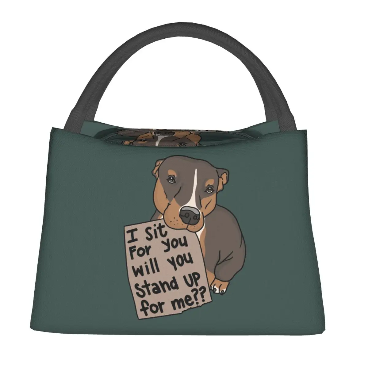 Stand Up For Pit Bulls! Lunch Bags Insulated Bento Box Resuable Lunch Tote Picnic Bags Cooler Thermal Bag for Woman Girl Office