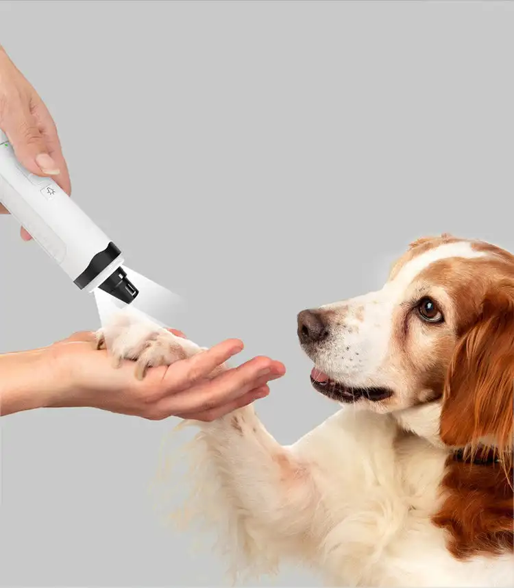 

2-Speed Pet Nail Grinder with LED Lights USB Rechargeable Dog Nail Grinders Electric Dog Cat Paws Nail Grooming Trimmer Tools