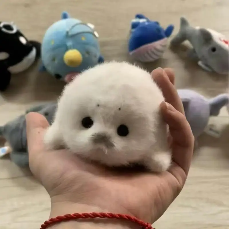 

【Peace】Cute Baby Seal Doll Plush Toy Pendant Simulation Ocean Toy Souvenir Seal Pendant Gift Doll Bag Pendant