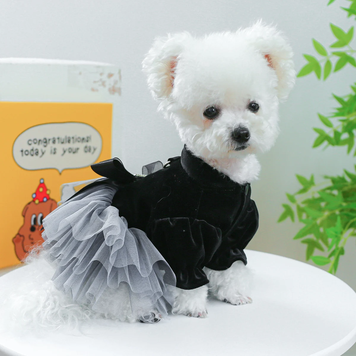 1PC Pet Clothing Dog Cat Spring Autumn Thin Black Velvet Bow Princess Mesh Dress With Drawstring Buckle For Small Medium Dogs