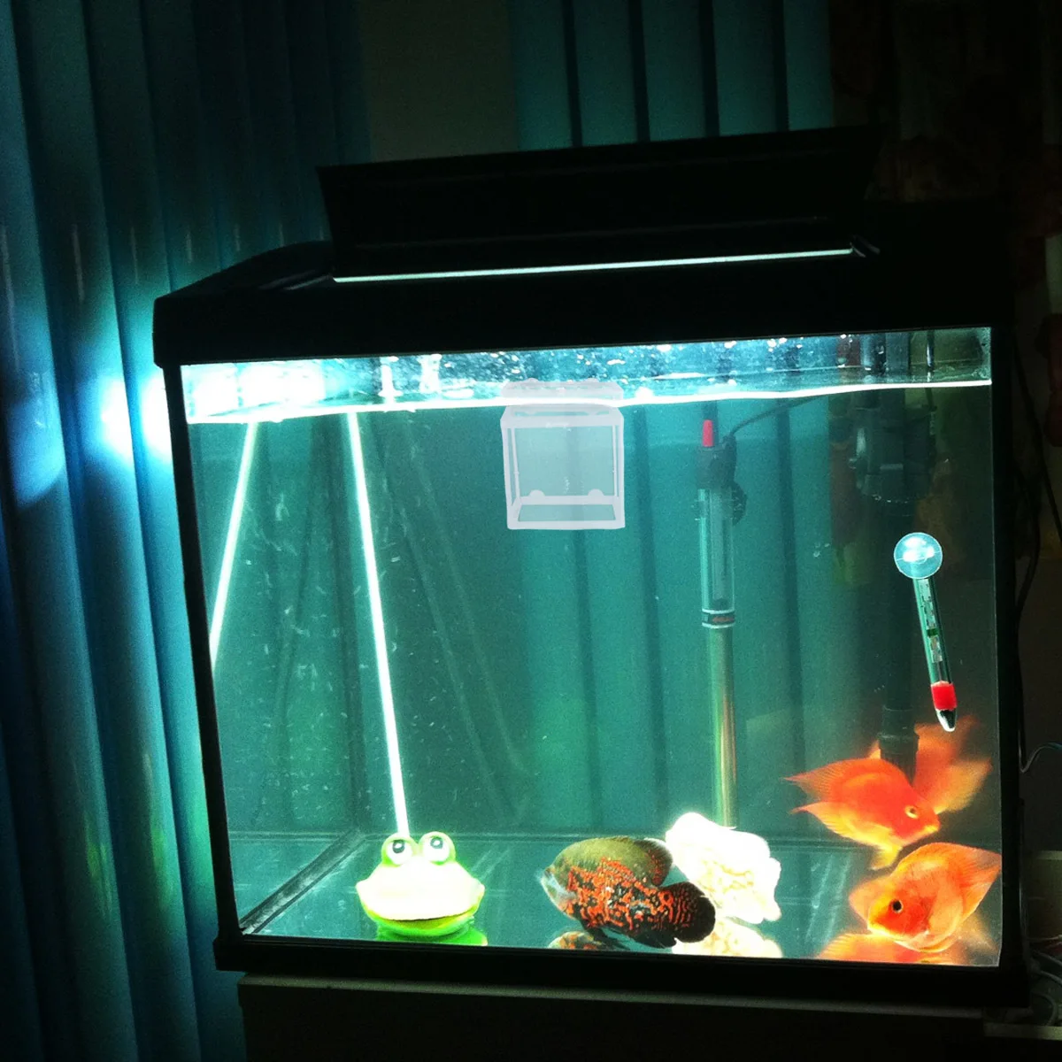

2Pcs Fish Breeding Hatchery Box Plastic Cloth Isolation Net Compact Portable Floating Case Aquarium Home Tank Use White Size S