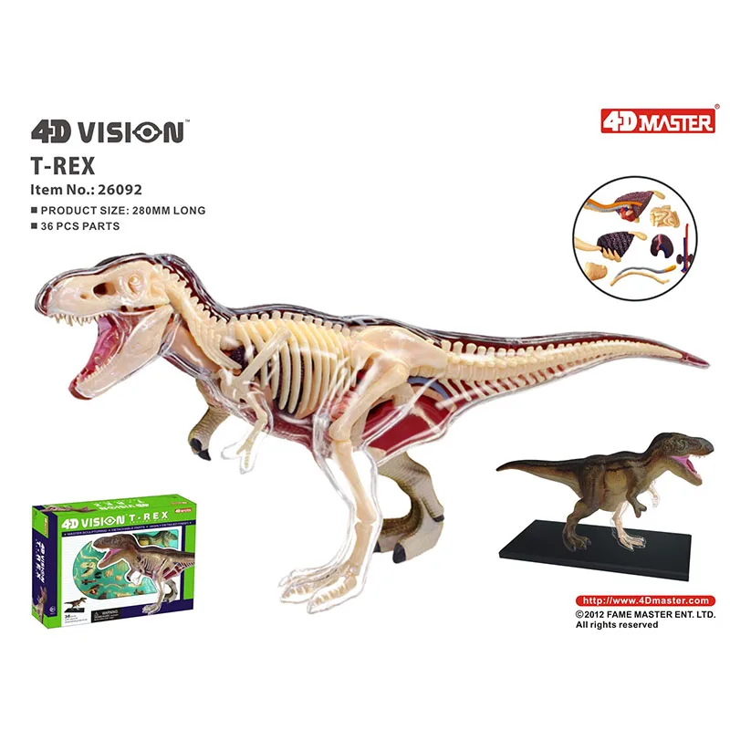 Tiranosaurio Triceratops Brachiosaurus Stegosaurus 4d Master Puzzle Assembling Animal Biology Dinosaur Organ Model